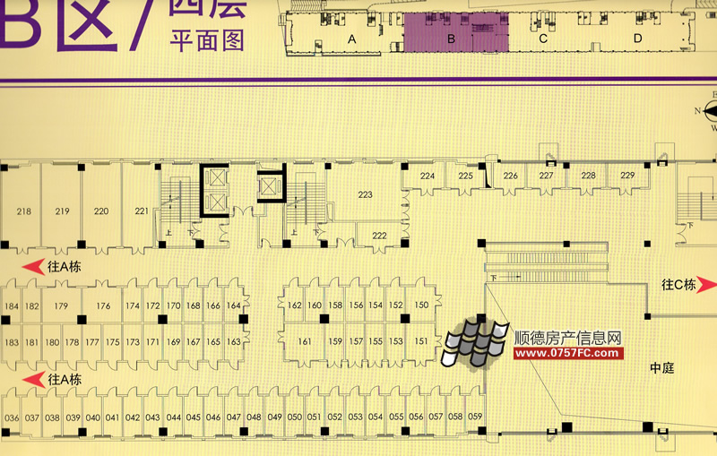 B�^(q��)���֘�ƽ��D